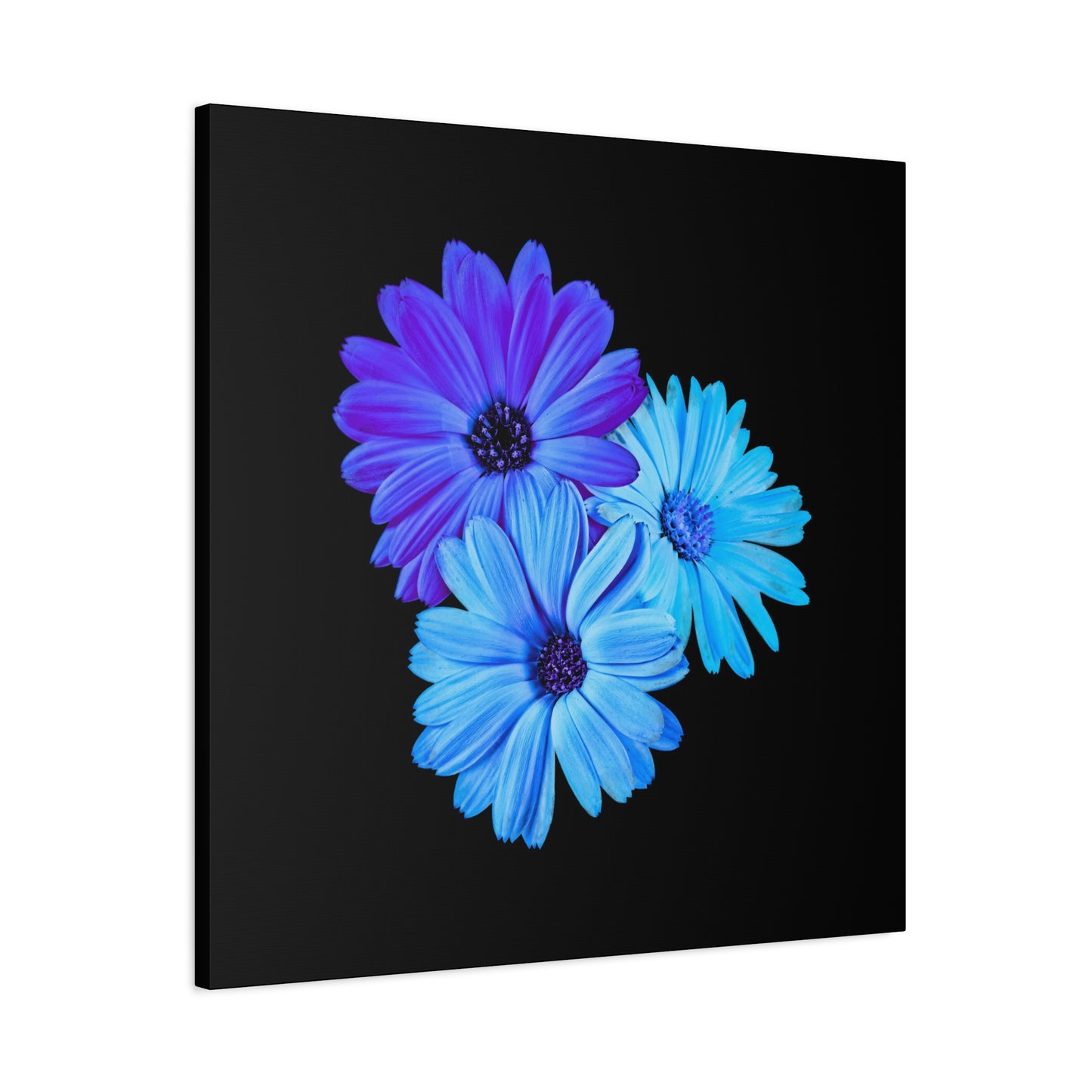 Collection Signature "FLORAL Numéro 2" sur Toile Fine Art sur Toile / Epaisseur 3,2cm - 1'25 po