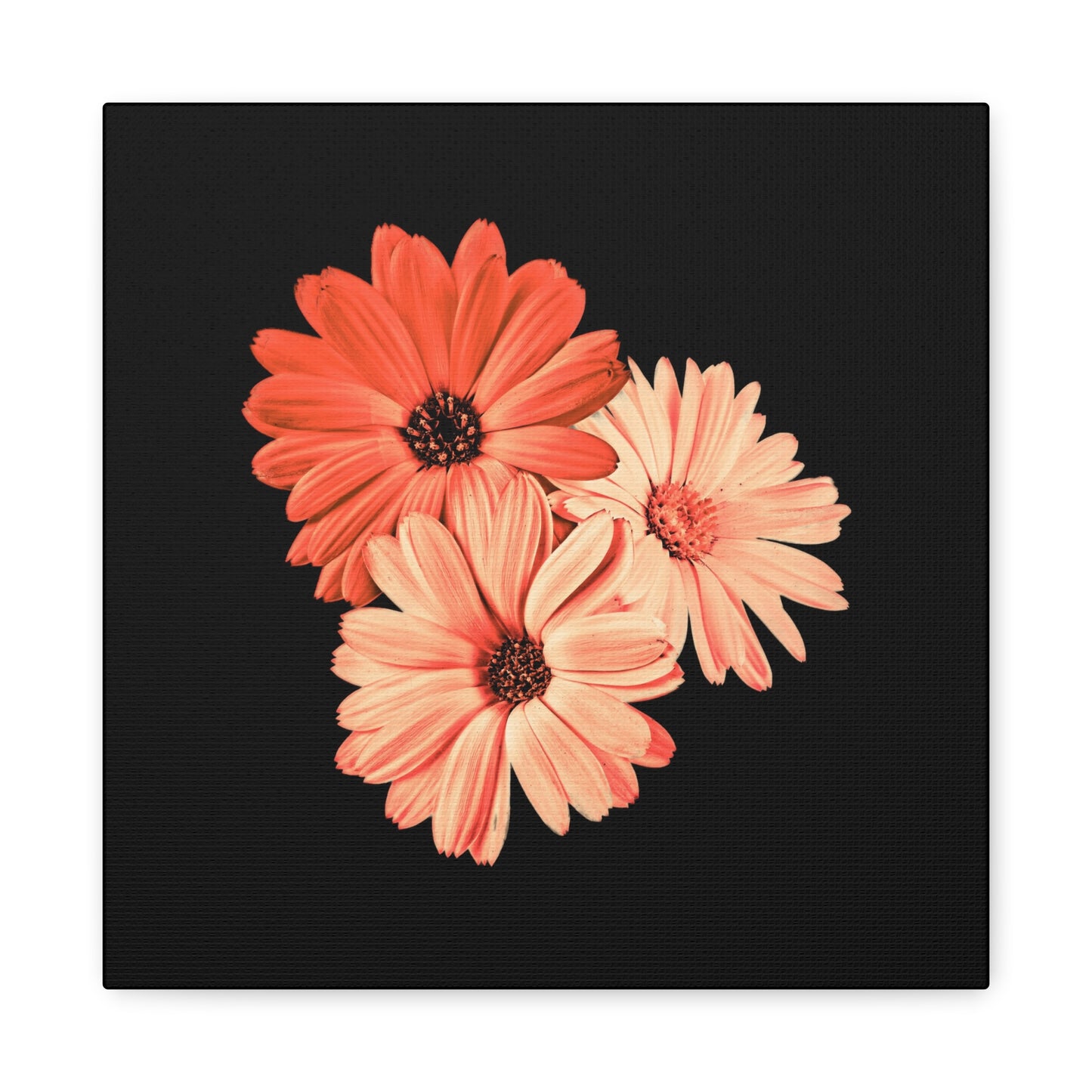 Collection Signature "FLORAL Numéro 6" sur Toile Fine Art sur Toile / Epaisseur 3,2cm - 1'25 po