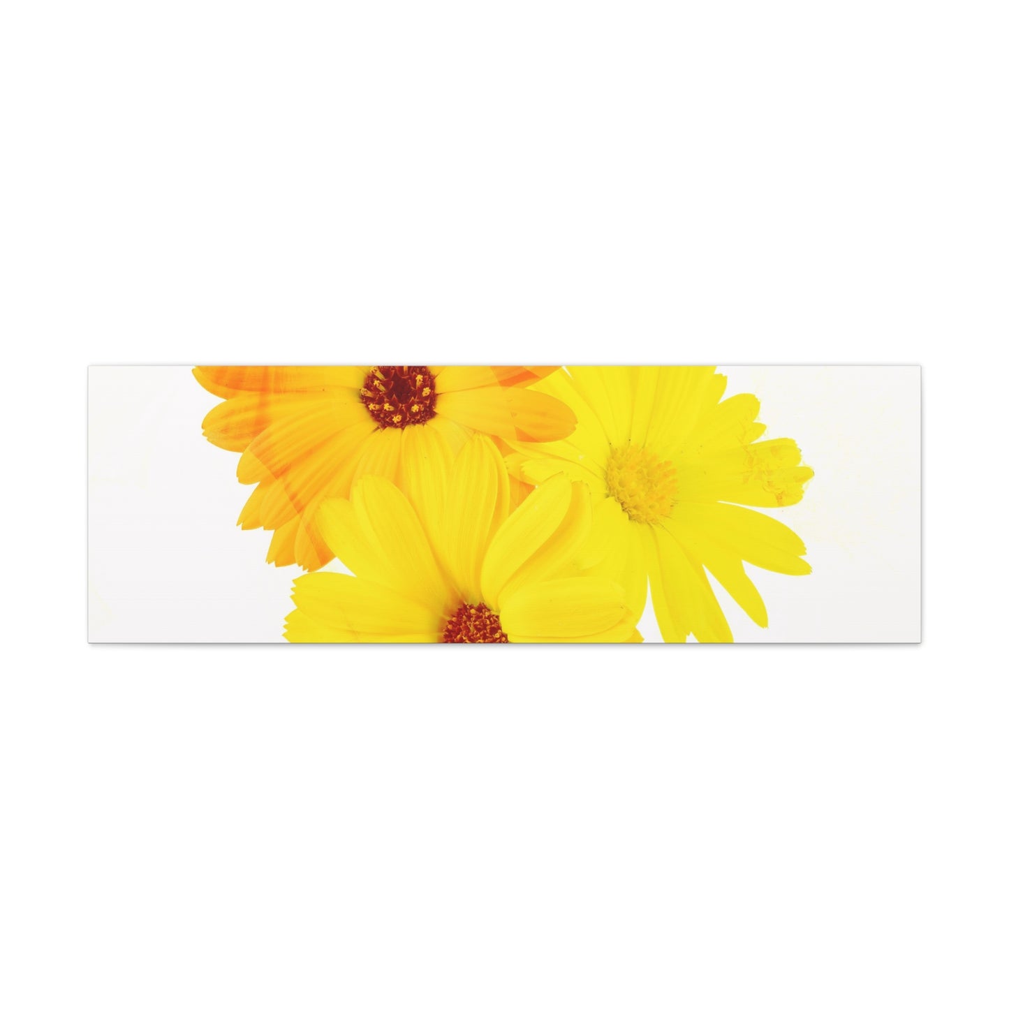 Collection Signature "FLORAL Numéro 16" sur Toile Fine Art sur Toile / Epaisseur 3,2cm - 1'25 po