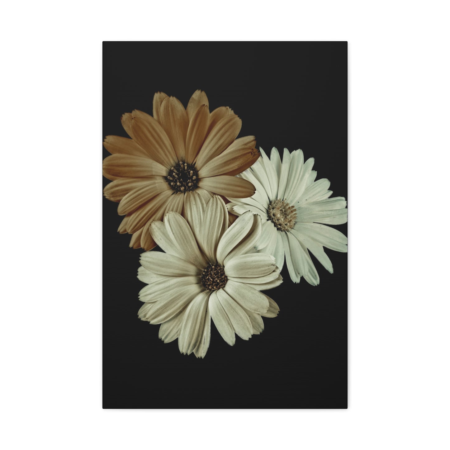 Collection Signature "FLORAL Numéro 3" sur Toile Fine Art sur Toile / Epaisseur 3,2cm - 1'25 po
