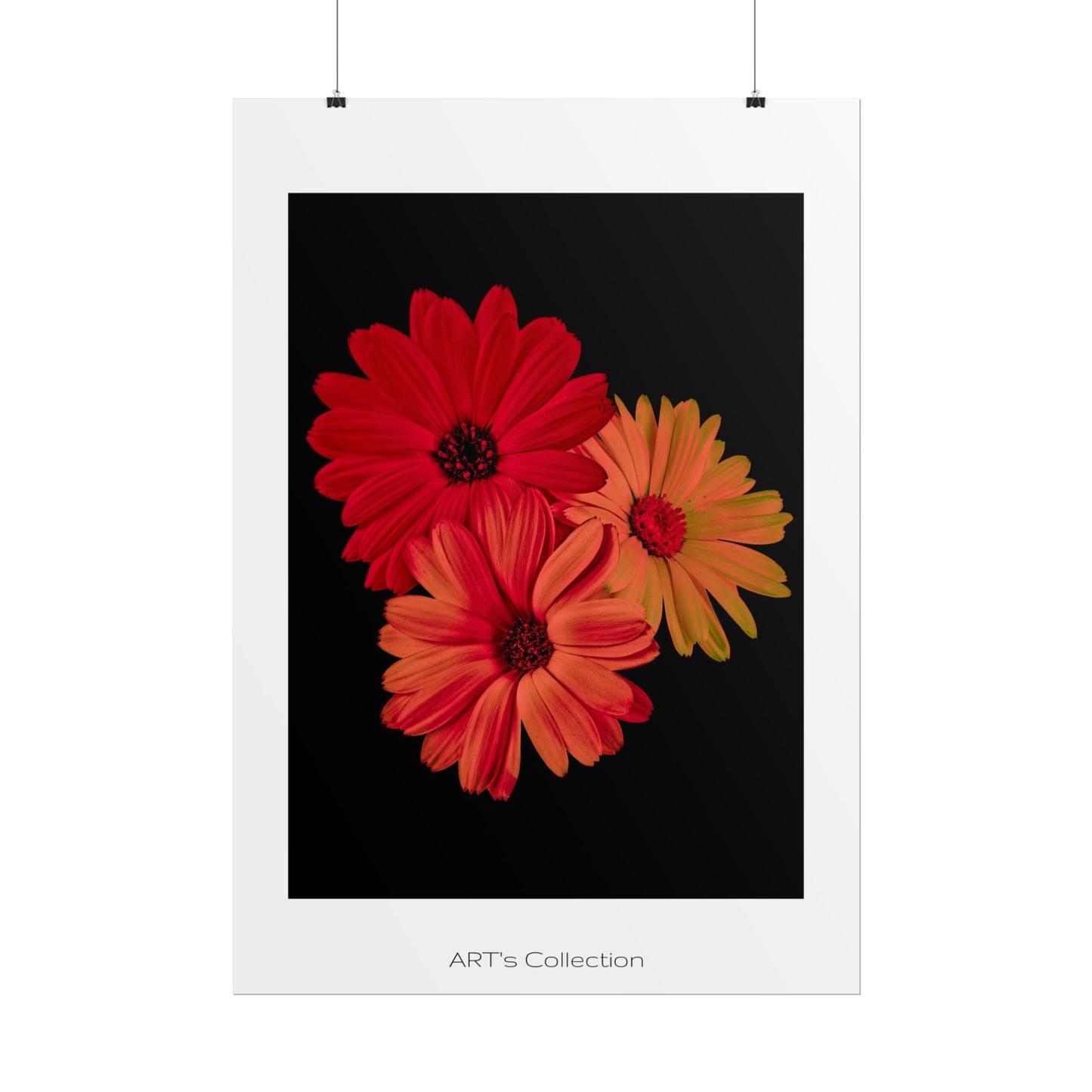 Collection Signature "FLORAL Numéro 1" sur Affiche imprimée - Série ART's Collection