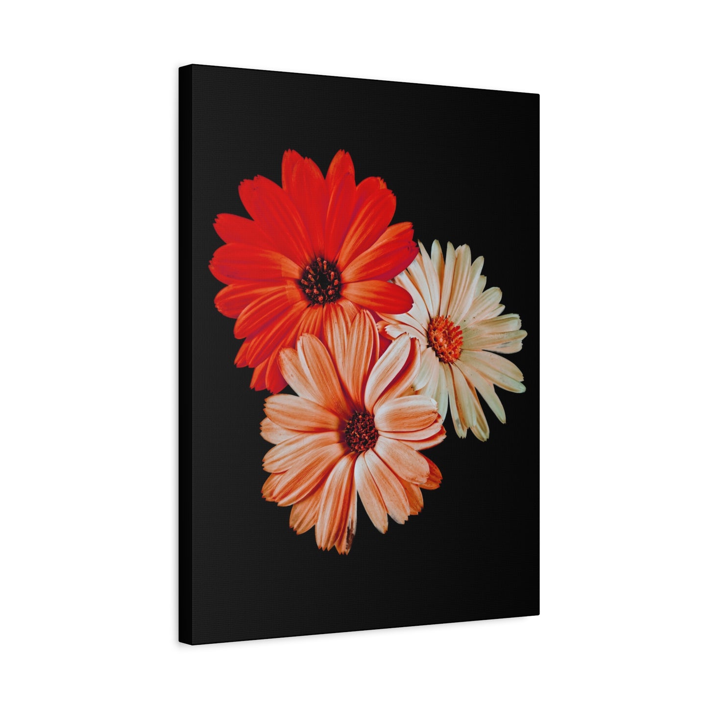 Collection Signature "FLORAL Numéro 7" sur Toile Fine Art sur Toile / Epaisseur 3,2cm - 1'25 po