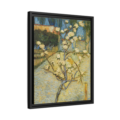 Small pear tree in blossom (1888) by Vincent van Gogh / Toile encadrée sur caisse américaine