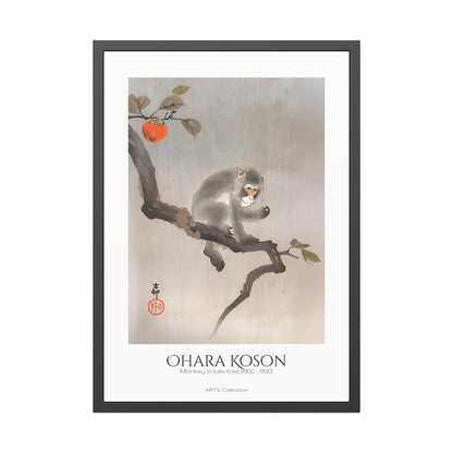 Monkey in kaki tree (1900-1930) by Ohara Koson / Affiche Encadrée série ART's Collection