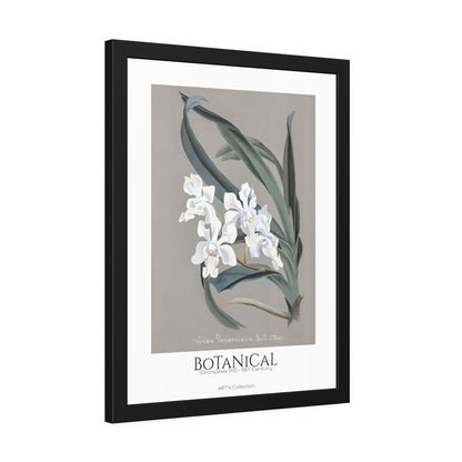 Botanical - Orchidées Pl.10 (19th Century) / Affiche Encadrée série ART's Collection