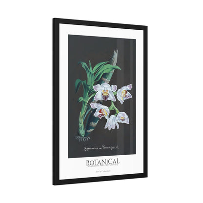 Botanical - Orchidées Pl.60 (19th Century) / Affiche Encadrée série ART's Collection