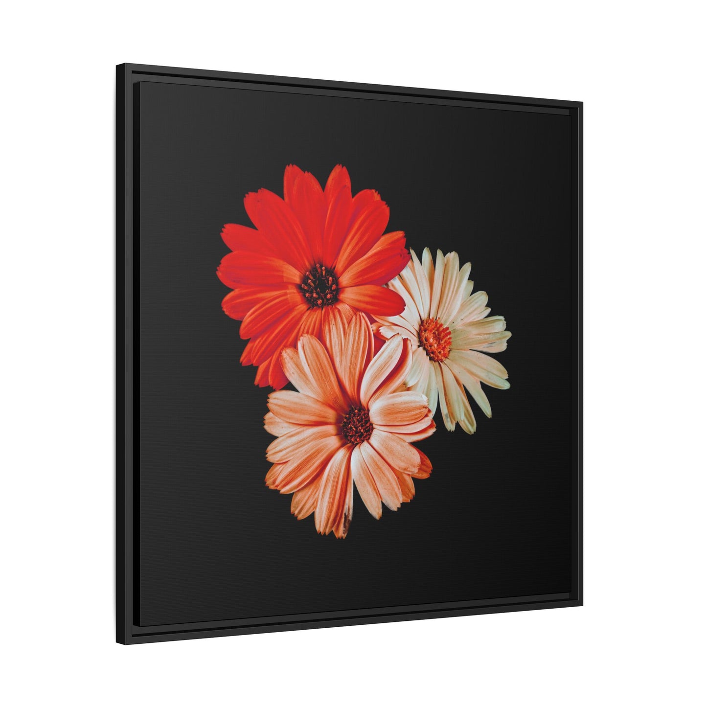 Collection Signature "FLORAL Numéro 7" sur Toile encadrée avec caisse américaine
