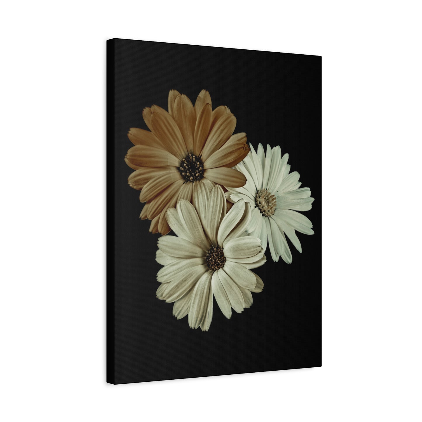 Collection Signature "FLORAL Numéro 3" sur Toile Fine Art sur Toile / Epaisseur 3,2cm - 1'25 po