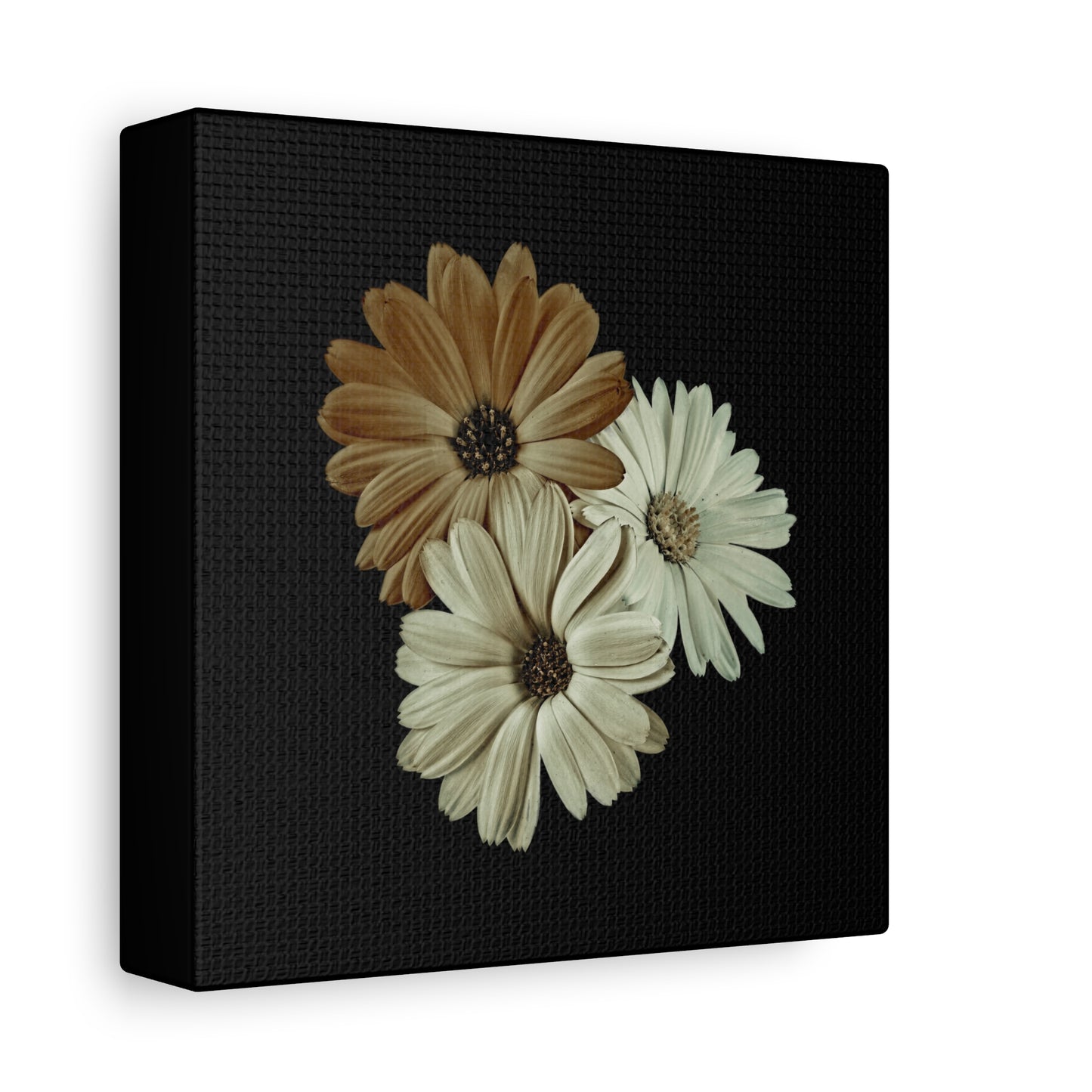 Collection Signature "FLORAL Numéro 3" sur Toile Fine Art sur Toile / Epaisseur 3,2cm - 1'25 po