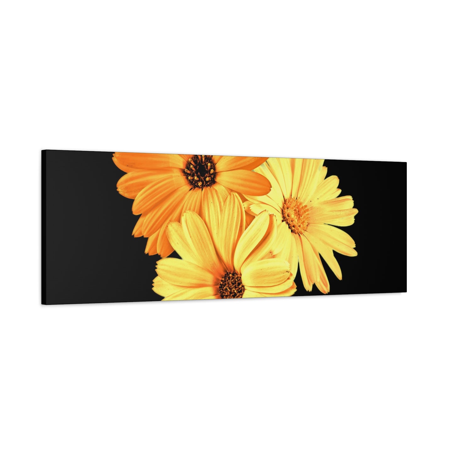 Collection Signature "FLORAL Numéro 8" sur Toile Fine Art sur Toile / Epaisseur 3,2cm - 1'25 po