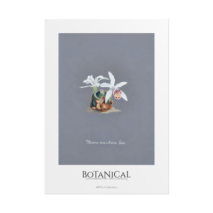 Botanical - Orchidées Pl.15 (19th Century) / Affiche imprimée - Série ART's Collection