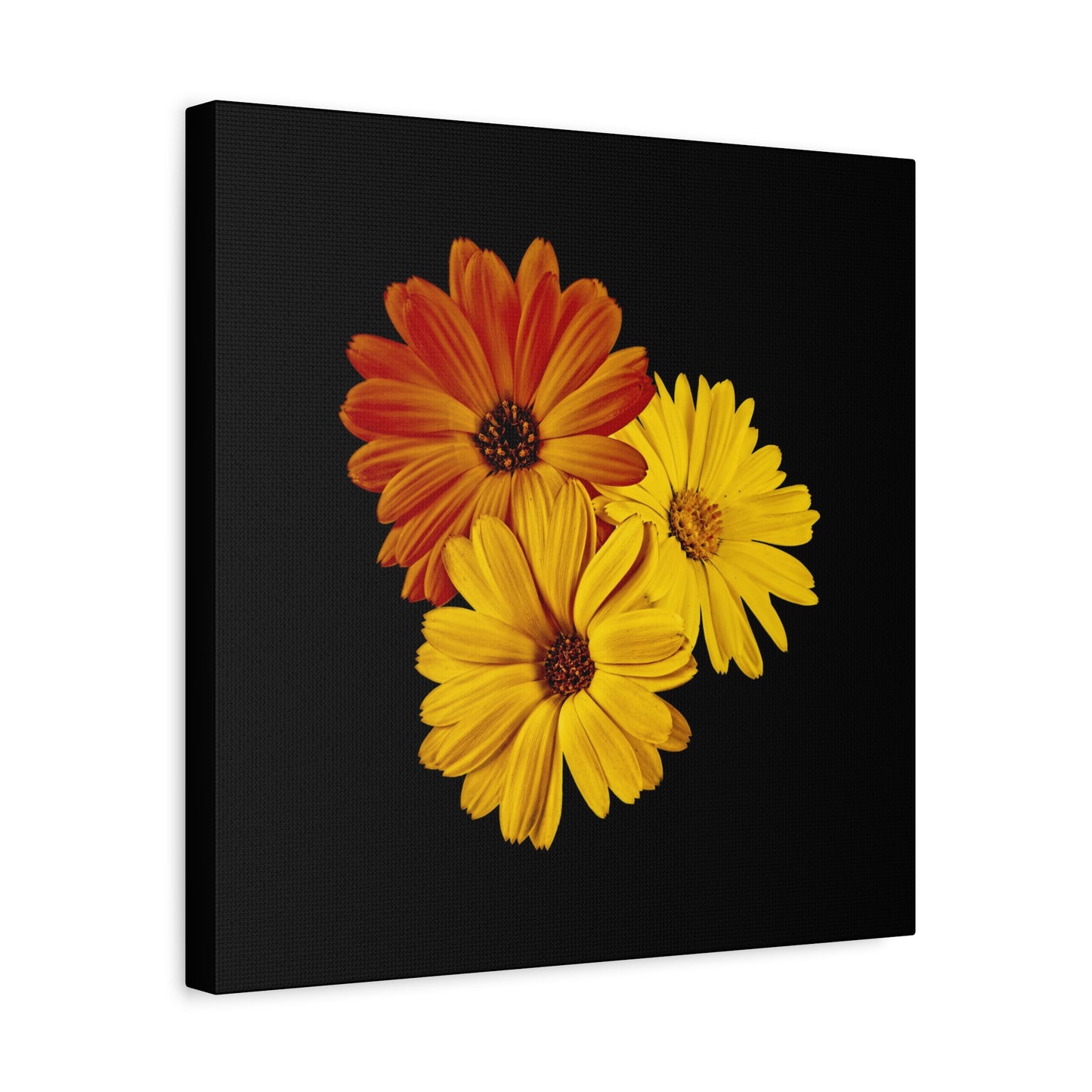 Collection Signature "FLORAL Numéro 4" sur Toile Fine Art sur Toile / Epaisseur 3,2cm - 1'25 po