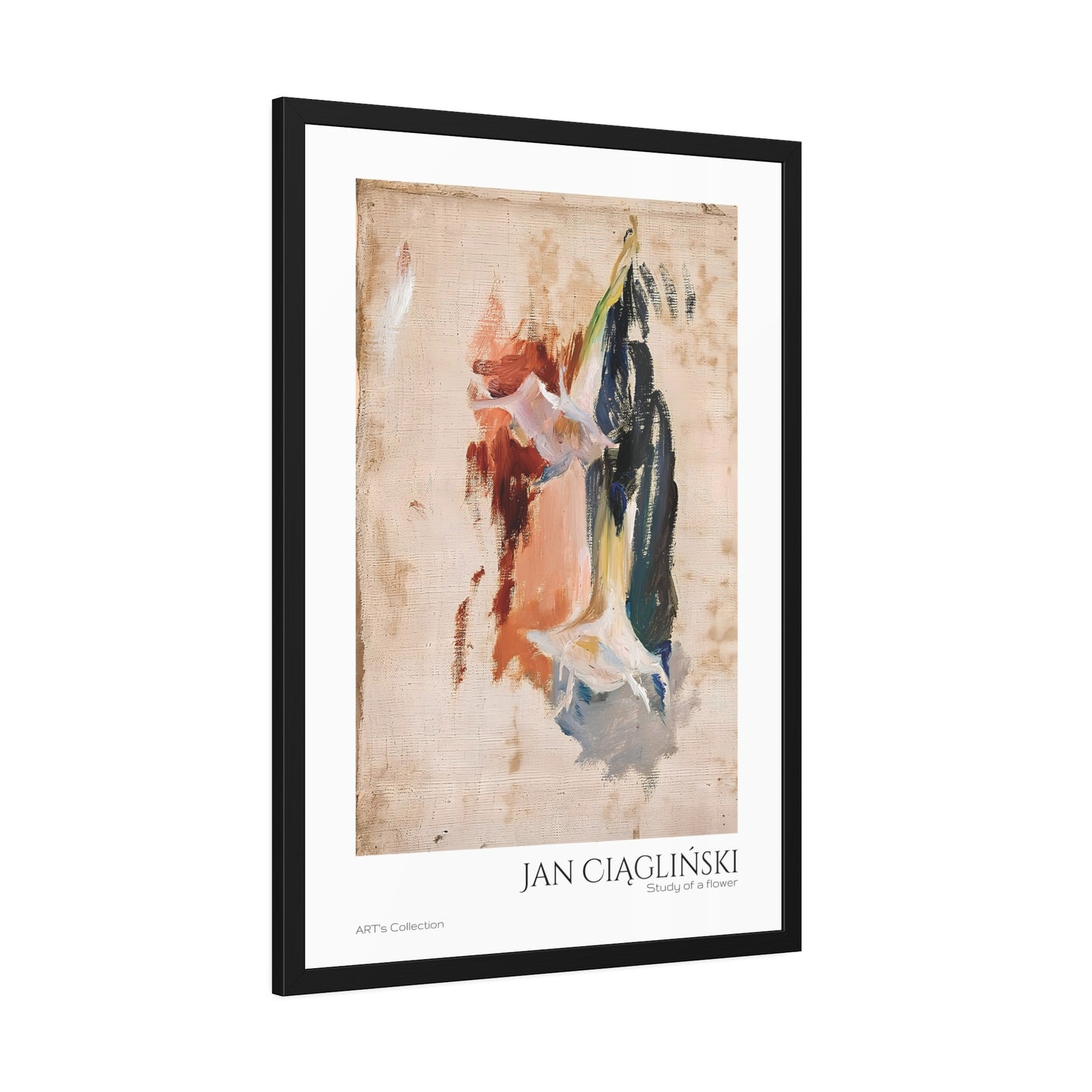 Study of a flower by Jan Ciaglinski  / Affiche Encadrée série ART's Collection