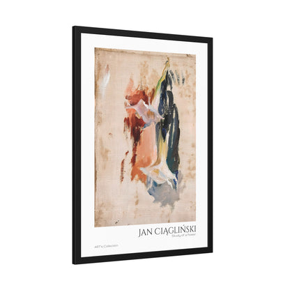 Study of a flower by Jan Ciaglinski  / Affiche Encadrée série ART's Collection