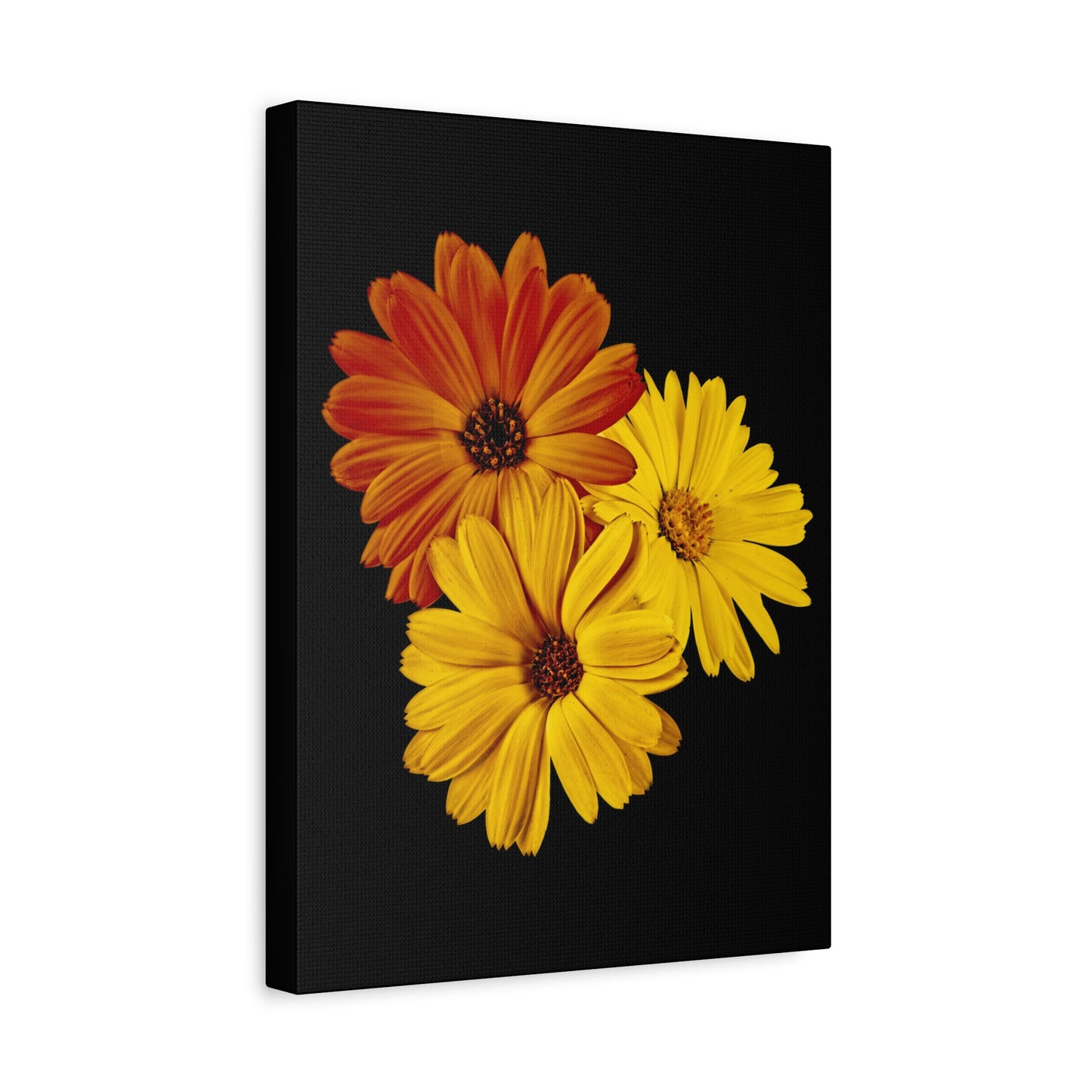 Collection Signature "FLORAL Numéro 4" sur Toile Fine Art sur Toile / Epaisseur 3,2cm - 1'25 po