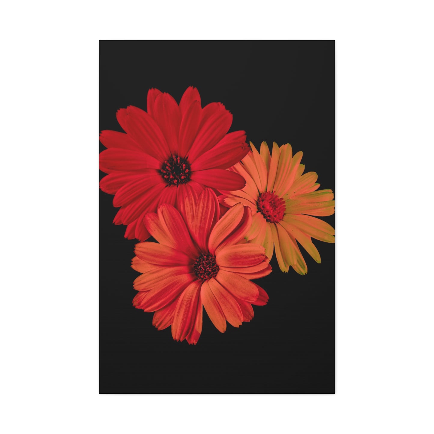 Collection Signature "FLORAL Numéro 1" sur Toile Fine Art sur Toile / Epaisseur 3,2cm - 1'25 po
