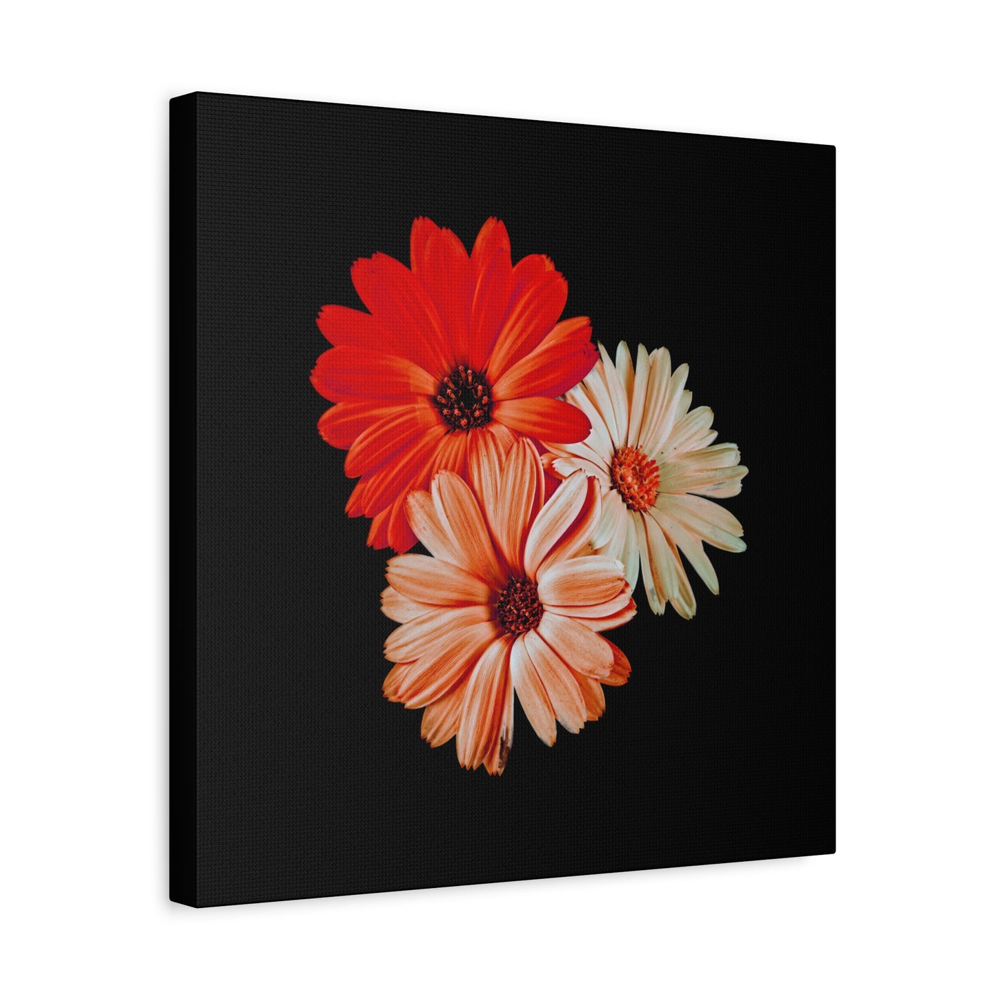 Collection Signature "FLORAL Numéro 7" sur Toile Fine Art sur Toile / Epaisseur 3,2cm - 1'25 po