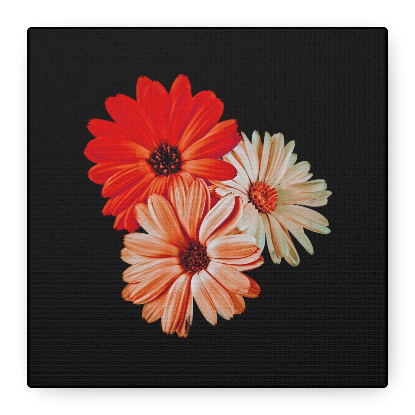 Collection Signature "FLORAL Numéro 7" sur Toile Fine Art sur Toile / Epaisseur 3,2cm - 1'25 po