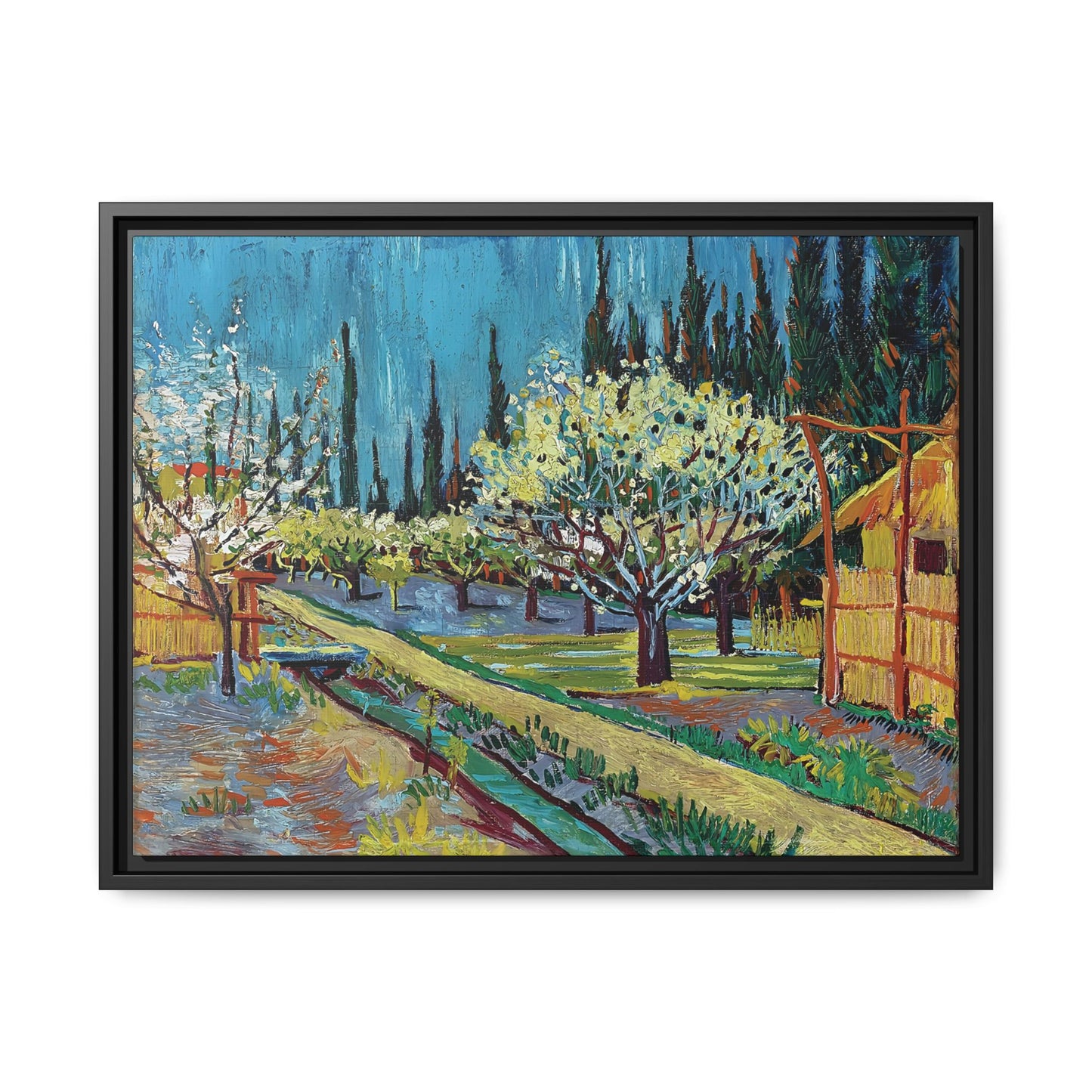 Orchard Bordered by Cypresses (1888) by Vincent van Gogh / Toile encadrée sur caisse américaine
