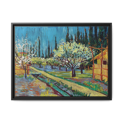 Orchard Bordered by Cypresses (1888) by Vincent van Gogh / Toile encadrée sur caisse américaine