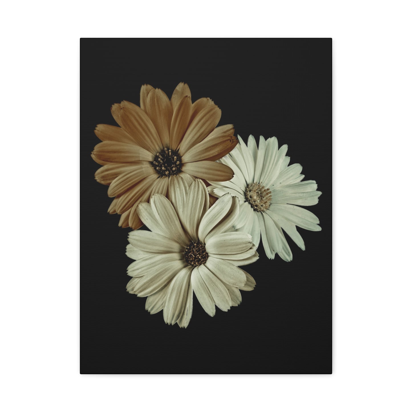 Collection Signature "FLORAL Numéro 3" sur Toile Fine Art sur Toile / Epaisseur 3,2cm - 1'25 po
