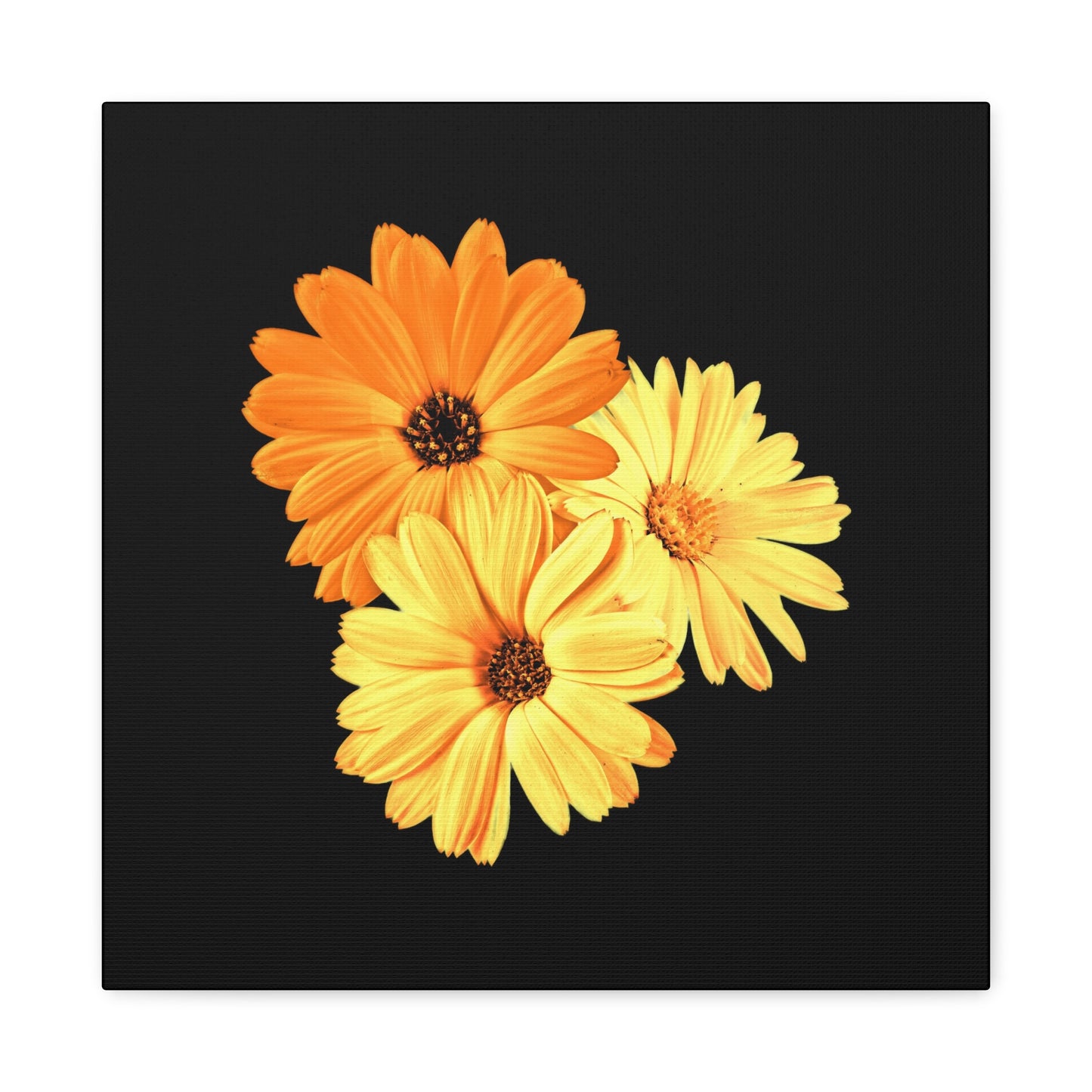 Collection Signature "FLORAL Numéro 8" sur Toile Fine Art sur Toile / Epaisseur 3,2cm - 1'25 po