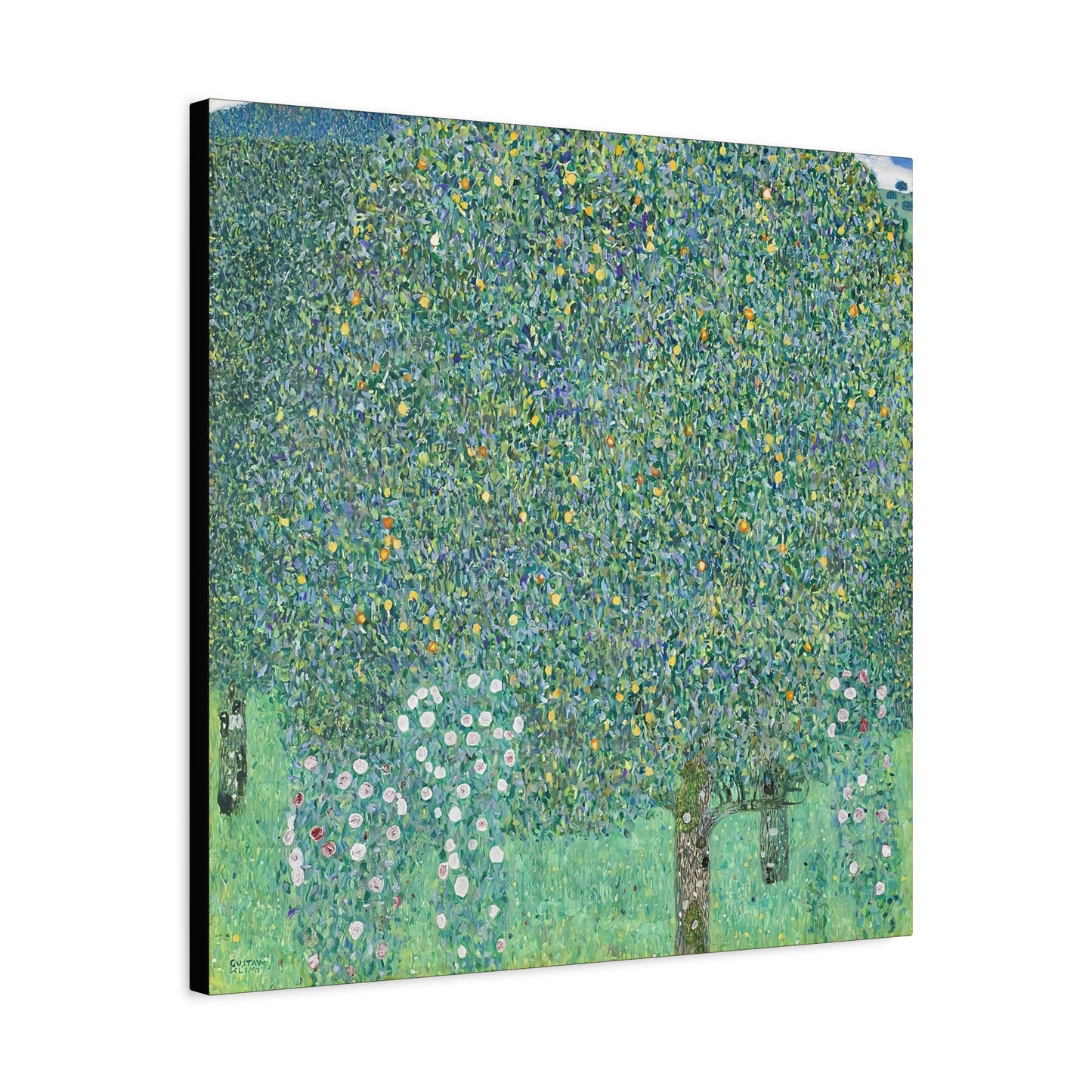 Rosebushes under the Trees (circa 1905) by Gustav Klimt / Reproduction Fine Art sur Toile / Flanc Large Epaisseur 3.2 cm - 1.25 inch