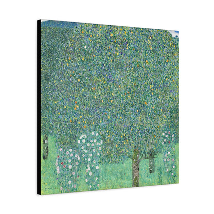 Rosebushes under the Trees (circa 1905) by Gustav Klimt / Reproduction Fine Art sur Toile / Flanc Large Epaisseur 3.2 cm - 1.25 inch