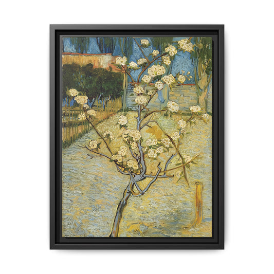 Small pear tree in blossom (1888) by Vincent van Gogh / Toile encadrée sur caisse américaine