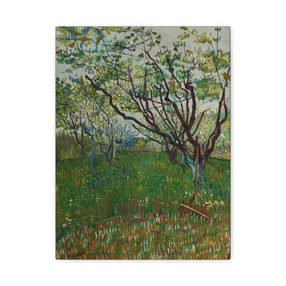 The Flowering Orchard (1888) by Vincent van Gogh  / Reproduction Fine Art sur Toile / Epaisseur 3,2cm - 1'25 po