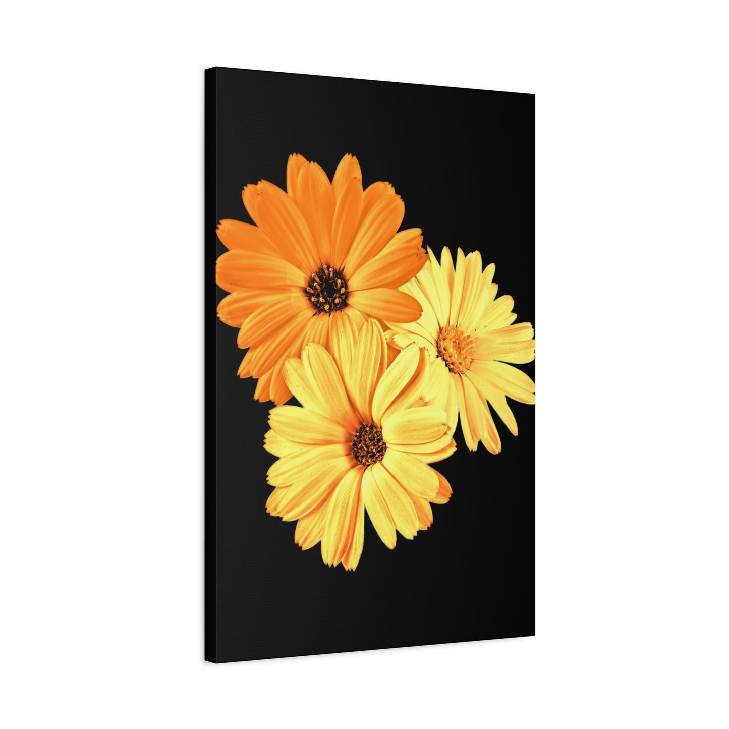 Collection Signature "FLORAL Numéro 8" sur Toile Fine Art sur Toile / Epaisseur 3,2cm - 1'25 po