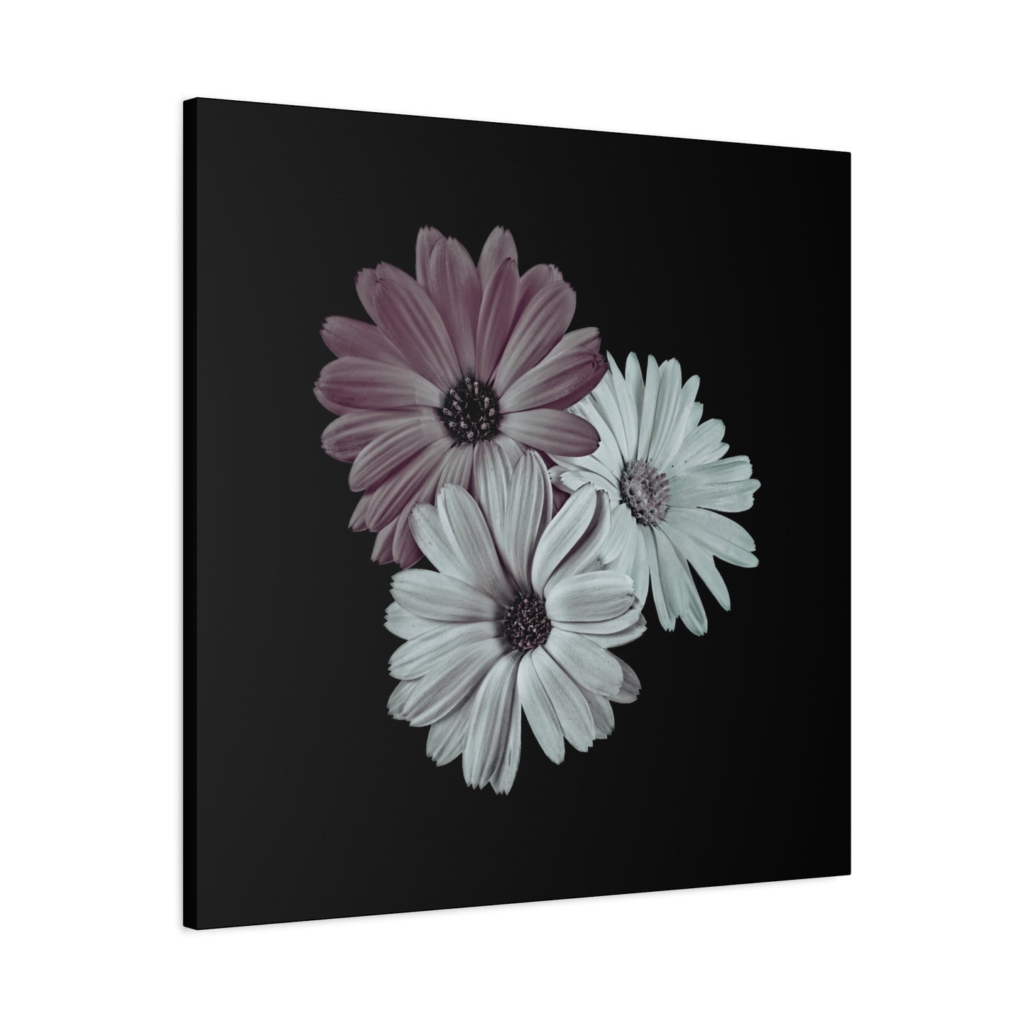 Collection Signature "FLORAL Numéro 5" sur Toile Fine Art sur Toile / Epaisseur 3,2cm - 1'25 po