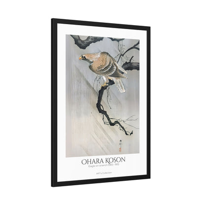 Eagle on branch (1900 - 1910) by Ohara Koson / Affiche Encadrée série ART's Collection
