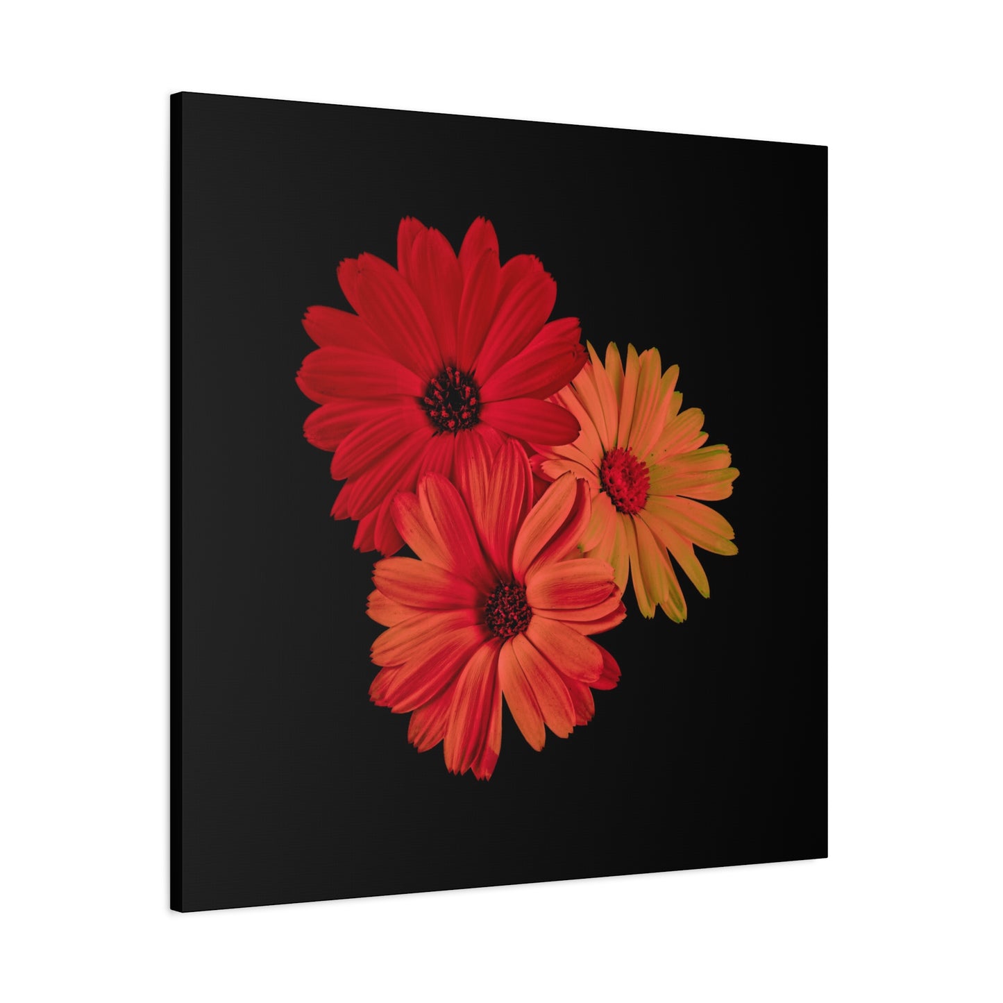 Collection Signature "FLORAL Numéro 1" sur Toile Fine Art sur Toile / Epaisseur 3,2cm - 1'25 po