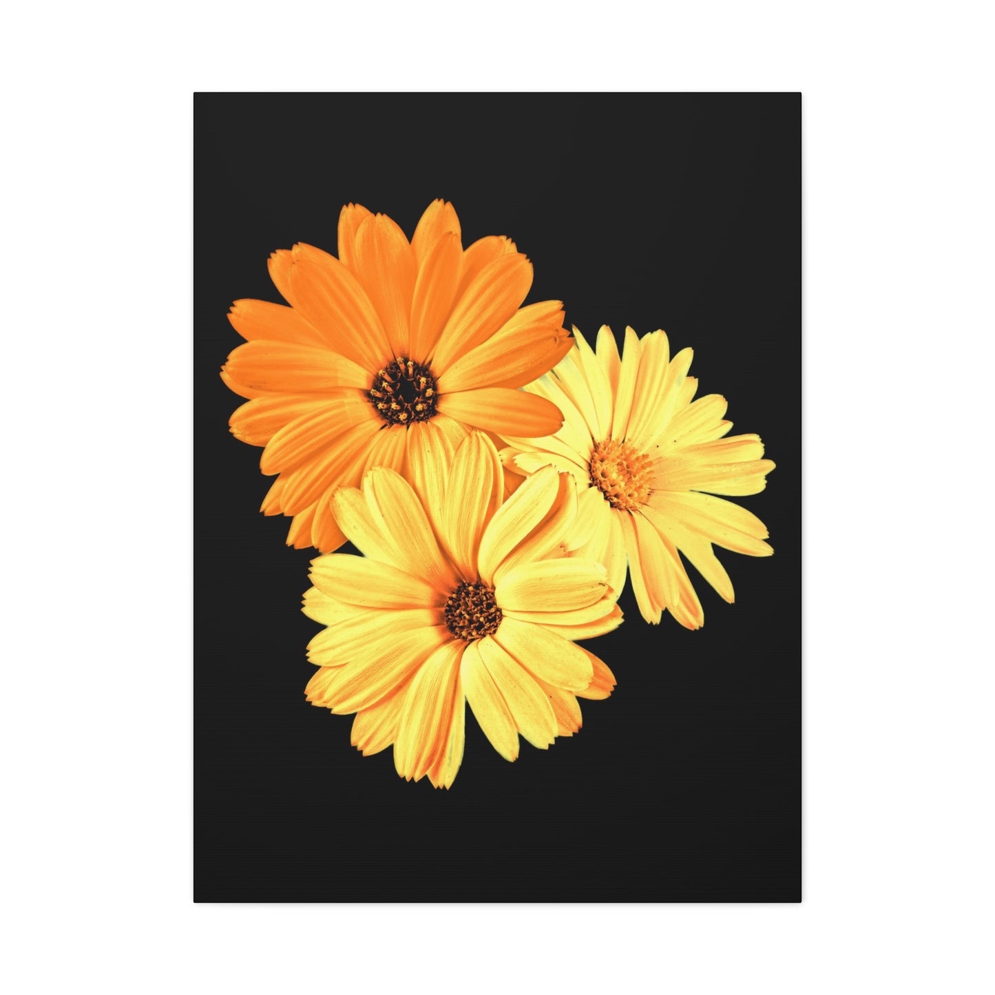 Collection Signature "FLORAL Numéro 8" sur Toile Fine Art sur Toile / Epaisseur 3,2cm - 1'25 po