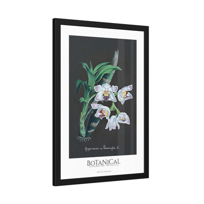 Botanical - Orchidées Pl.60 (19th Century) / Affiche Encadrée série ART's Collection