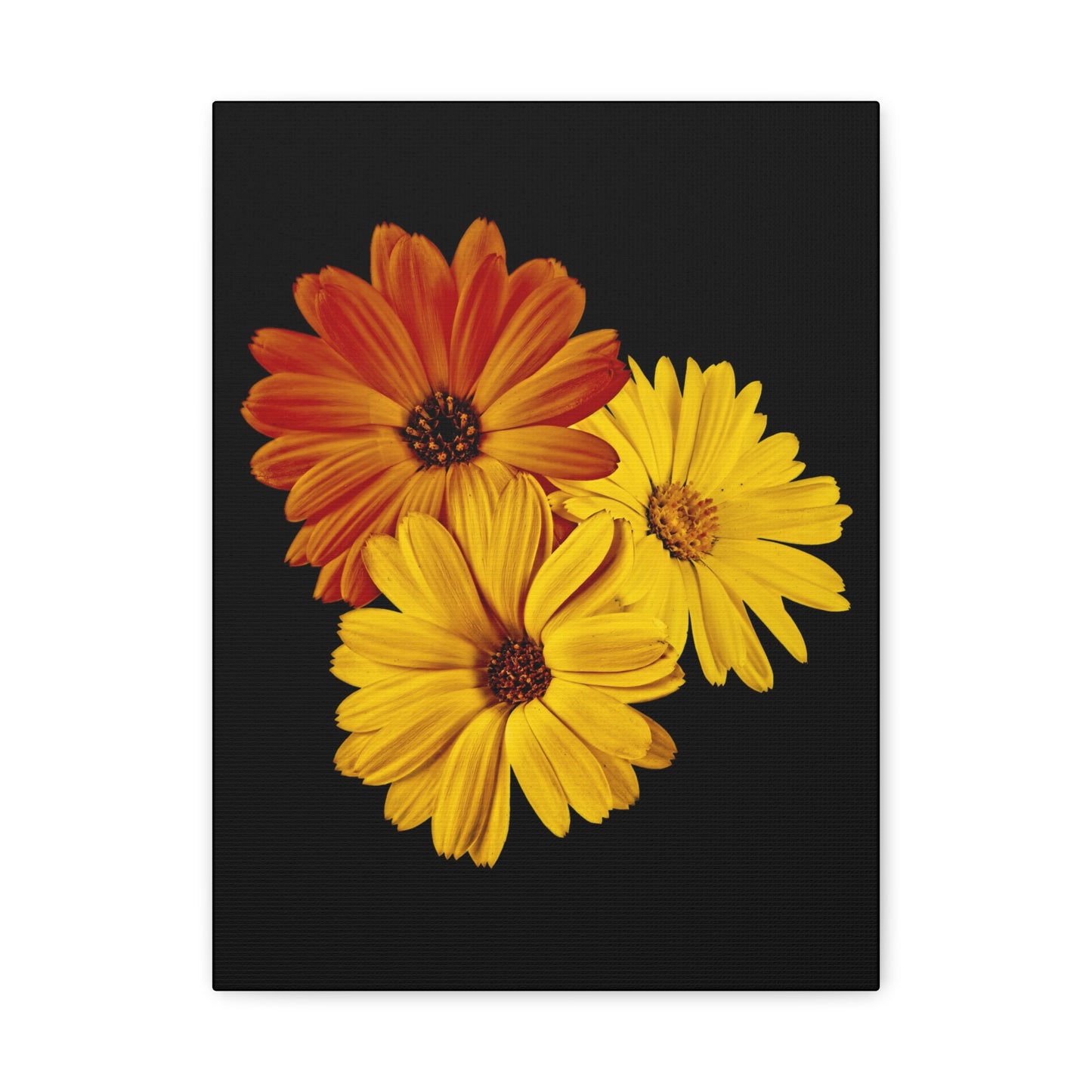 Collection Signature "FLORAL Numéro 4" sur Toile Fine Art sur Toile / Epaisseur 3,2cm - 1'25 po