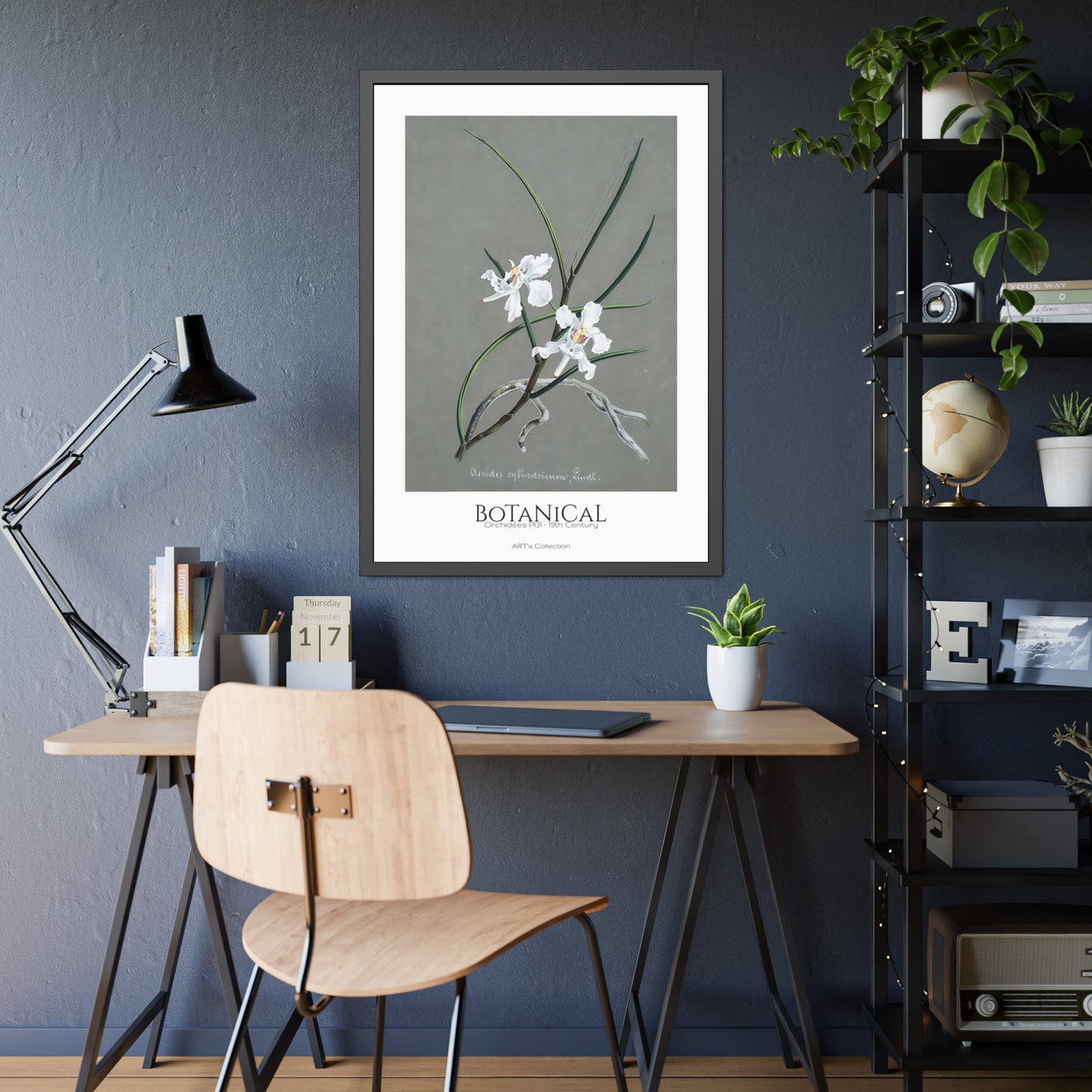 Botanical - Orchidées Pl.31 (19th Century) / Affiche Encadrée série ART's Collection