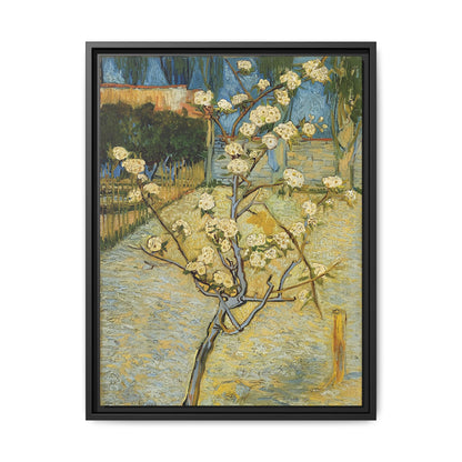 Small pear tree in blossom (1888) by Vincent van Gogh / Toile encadrée sur caisse américaine