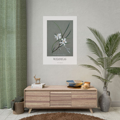 Botanical - Orchidées Pl.31 (19th Century) / Affiche imprimée - Série ART's Collection