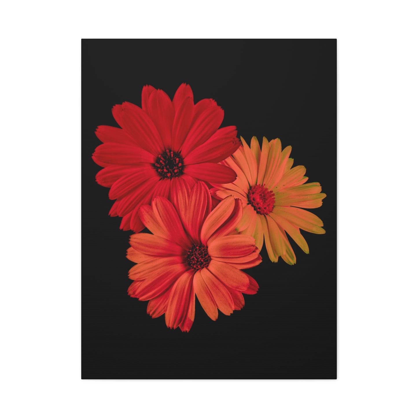 Collection Signature "FLORAL Numéro 1" sur Toile Fine Art sur Toile / Epaisseur 3,2cm - 1'25 po