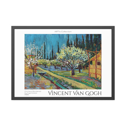Orchard Bordered by Cypresses (1888) by Vincent Van Gogh / Affiche Encadrée série ART's Collection
