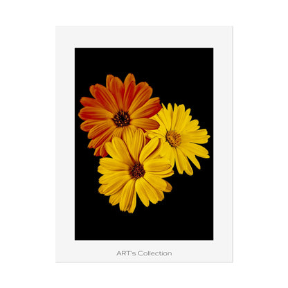 Collection Signature "FLORAL Numéro 4" sur Affiche imprimée - Série ART's Collection