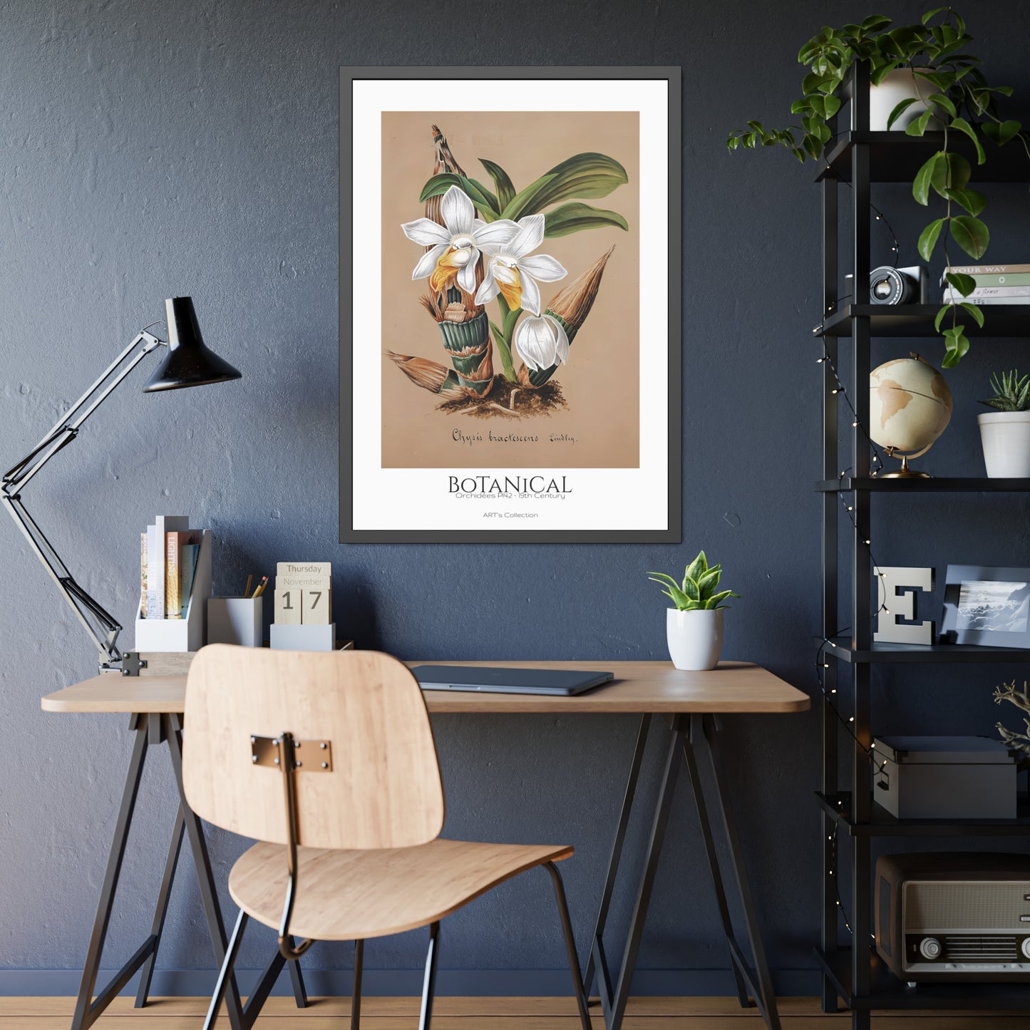 Botanical - Orchidées Pl.42 (19th Century) / Affiche Encadrée série ART's Collection