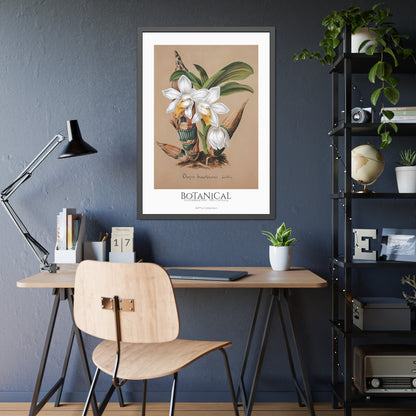 Botanical - Orchidées Pl.42 (19th Century) / Affiche Encadrée série ART's Collection