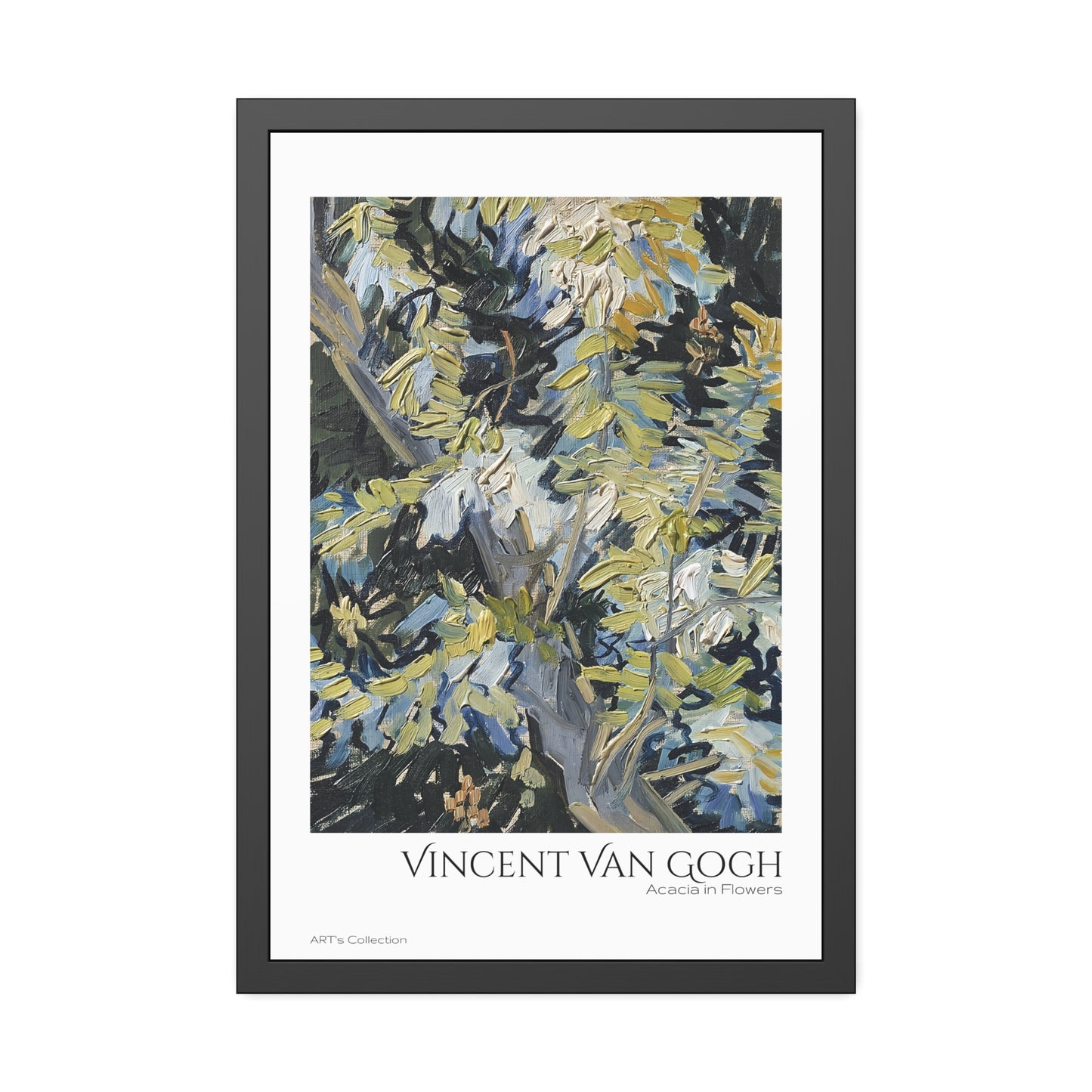 Acacia in Flowers by Vincent Van Gogh / Affiche Encadrée série ART's Collection