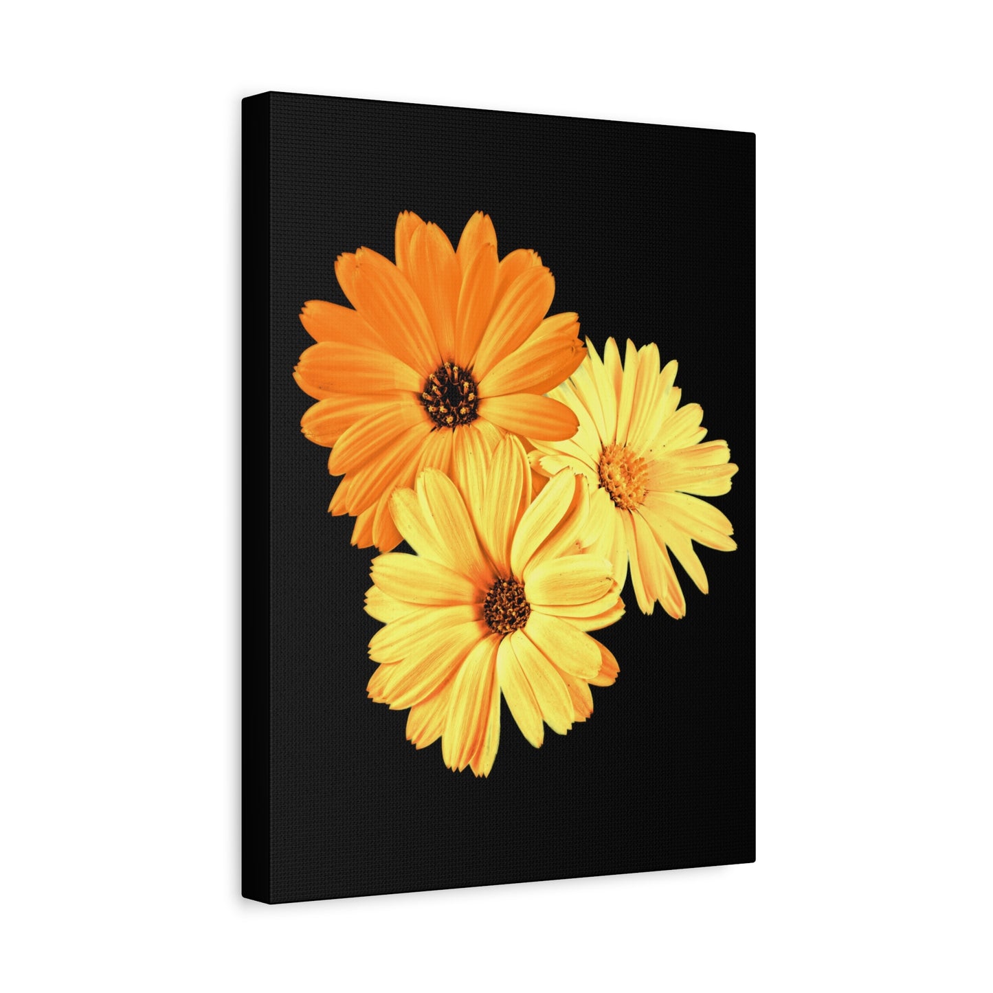 Collection Signature "FLORAL Numéro 8" sur Toile Fine Art sur Toile / Epaisseur 3,2cm - 1'25 po