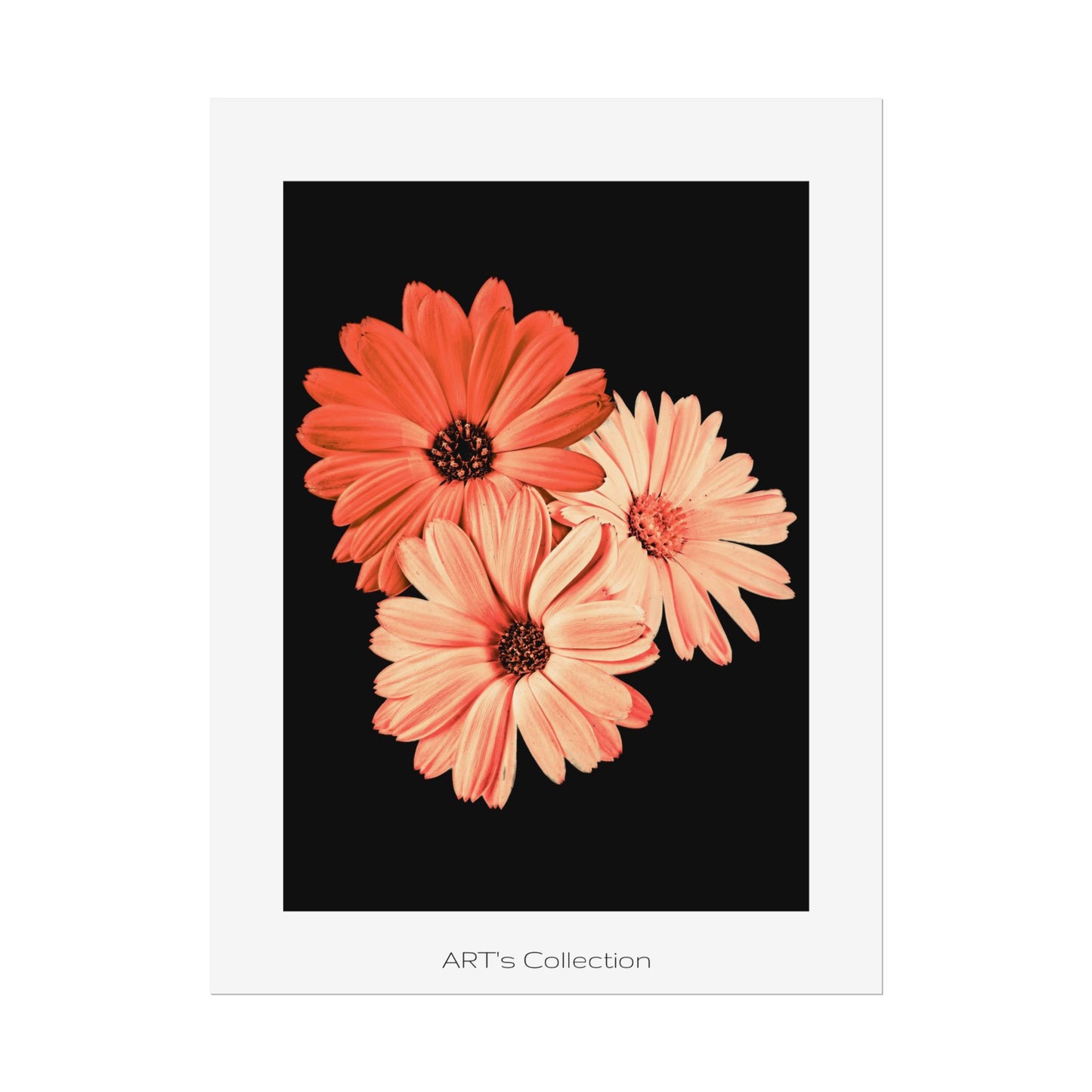 Collection Signature "FLORAL Numéro 6" sur Affiche imprimée - Série ART's Collection