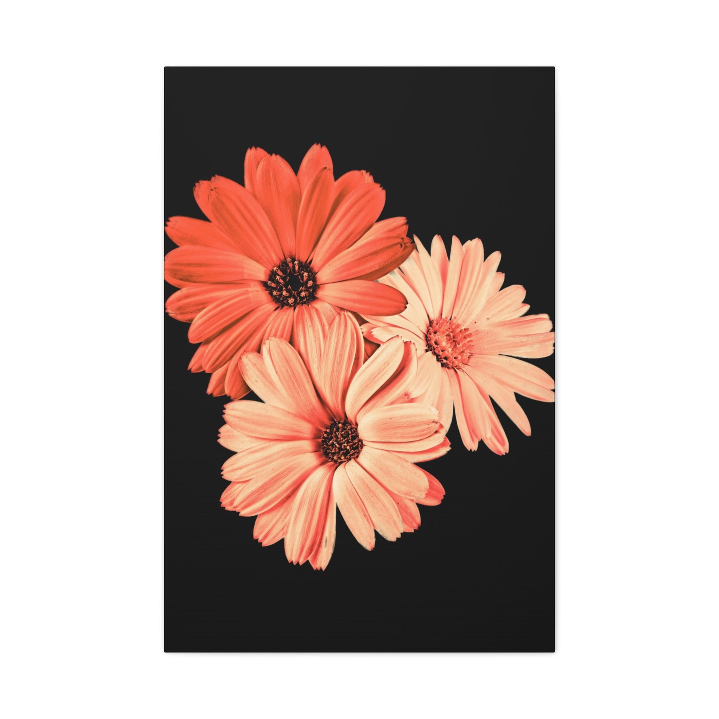 Collection Signature "FLORAL Numéro 6" sur Toile Fine Art sur Toile / Epaisseur 3,2cm - 1'25 po