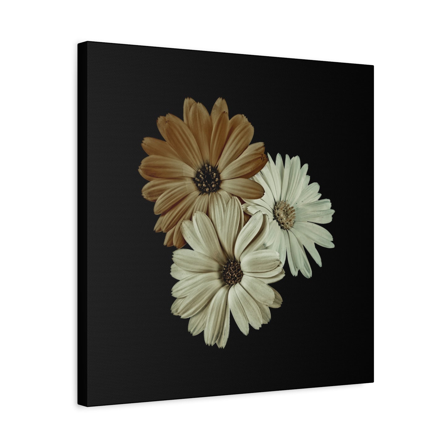 Collection Signature "FLORAL Numéro 3" sur Toile Fine Art sur Toile / Epaisseur 3,2cm - 1'25 po